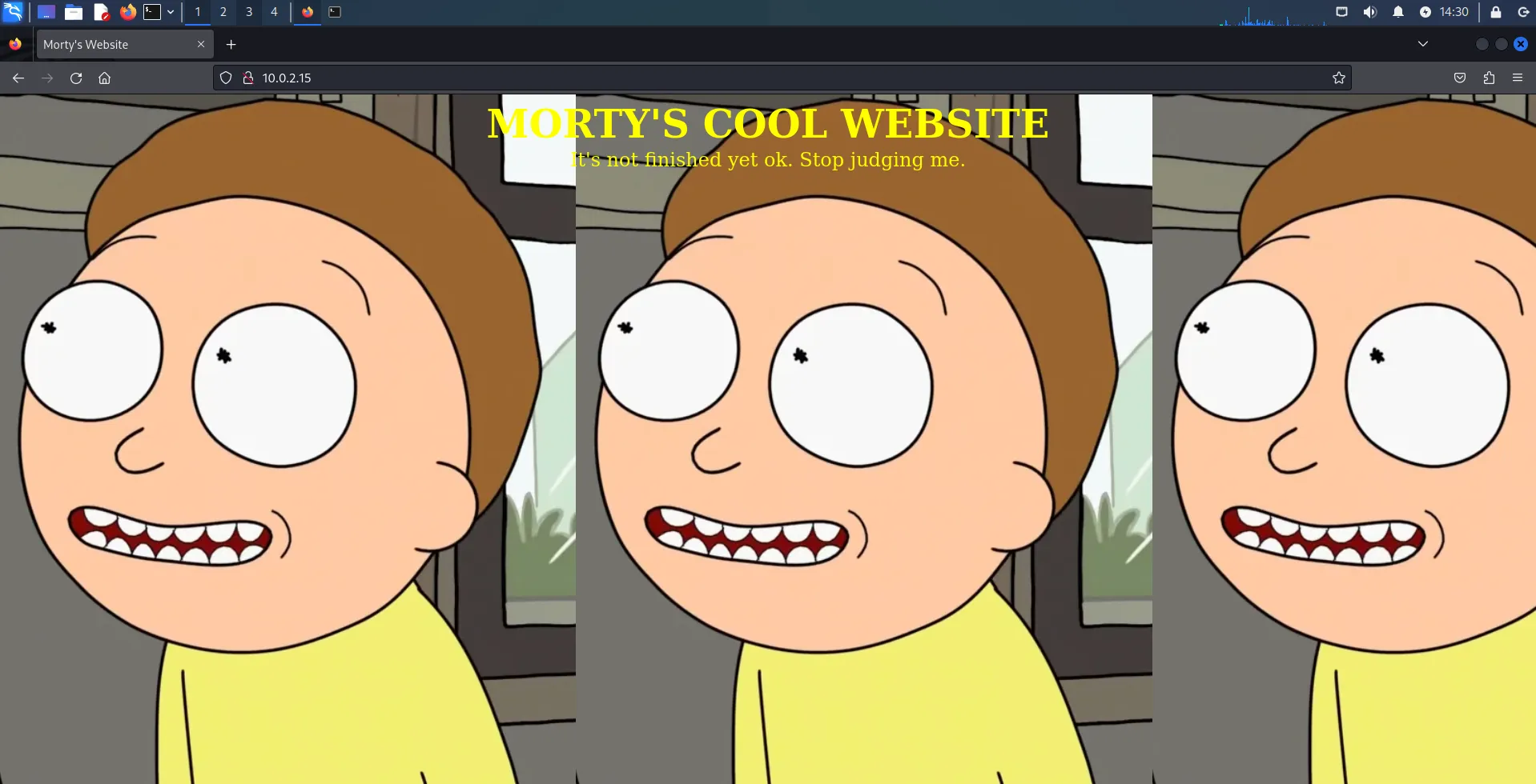 10.0.2.15:80 Morty Website