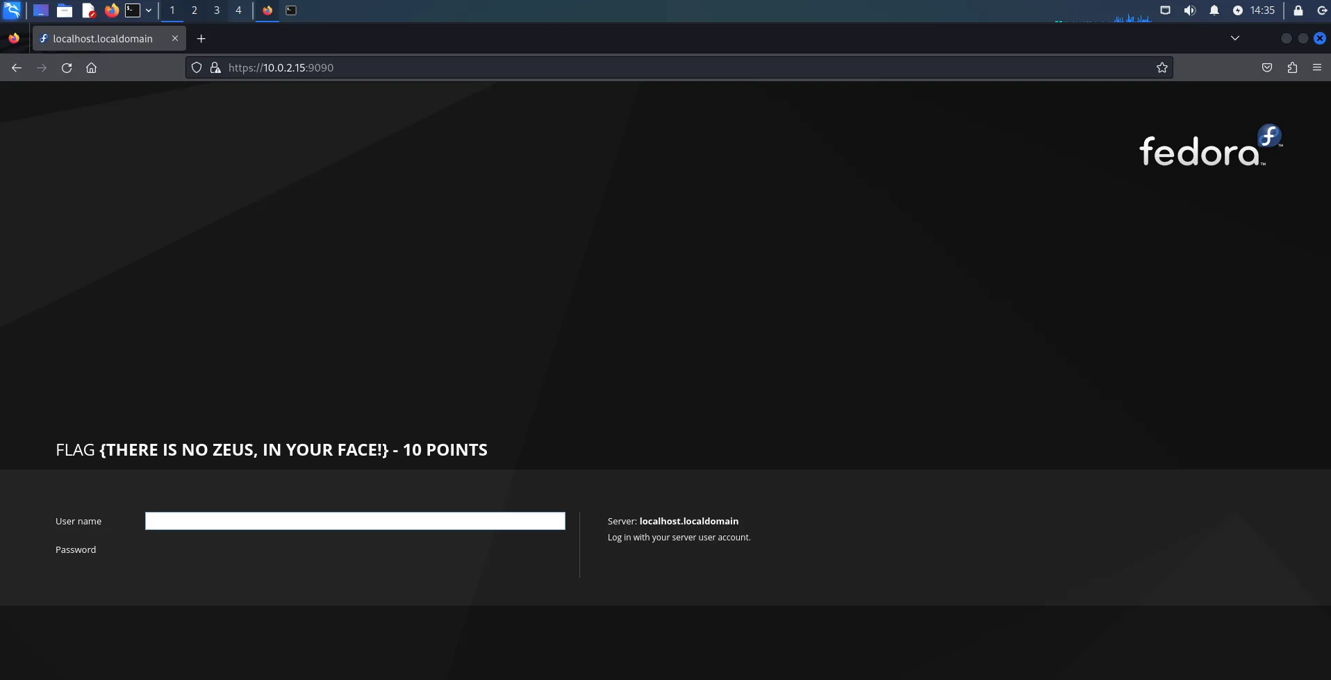 10.0.2.15:9090 Website Port 9090
