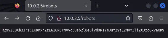 Cybersploit Website